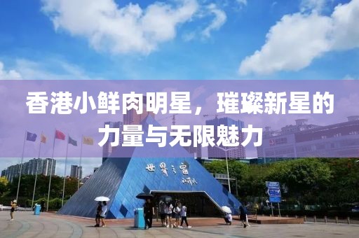 香港小鲜肉明星，璀璨新星的力量与无限魅力