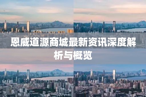 恩威道源商城最新资讯深度解析与概览