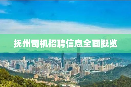 抚州司机招聘信息全面概览
