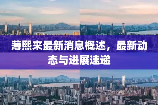薄熙来最新消息概述，最新动态与进展速递