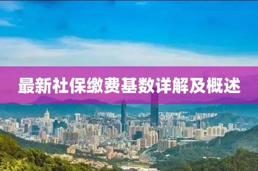 最新社保缴费基数详解及概述