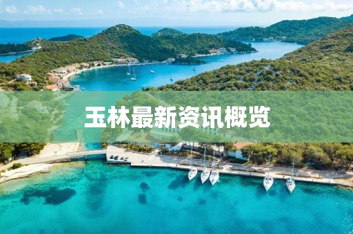 玉林最新资讯概览