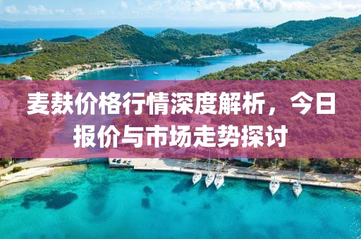 麦麸价格行情深度解析，今日报价与市场走势探讨