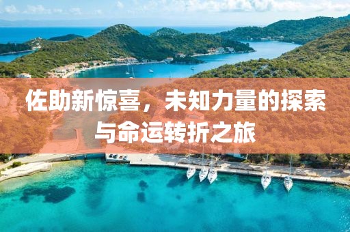 佐助新惊喜，未知力量的探索与命运转折之旅