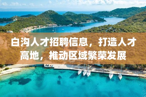 白沟人才招聘信息，打造人才高地，推动区域繁荣发展