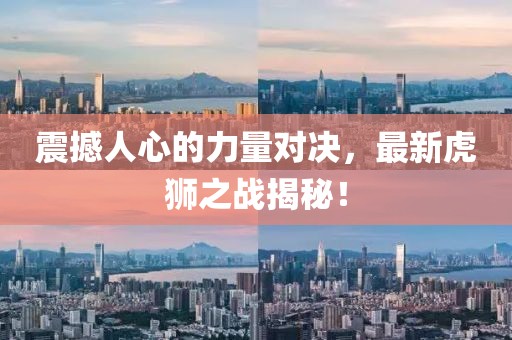 震撼人心的力量对决，最新虎狮之战揭秘！