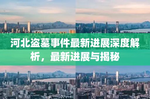 河北盗墓事件最新进展深度解析，最新进展与揭秘