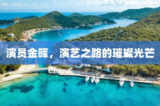 演员金晖，演艺之路的璀璨光芒