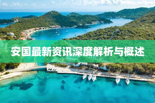 安国最新资讯深度解析与概述