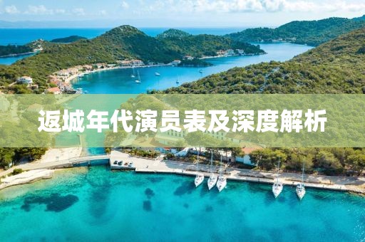 返城年代演员表及深度解析