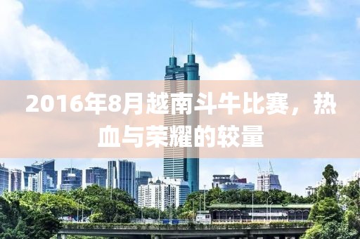 2016年8月越南斗牛比赛，热血与荣耀的较量