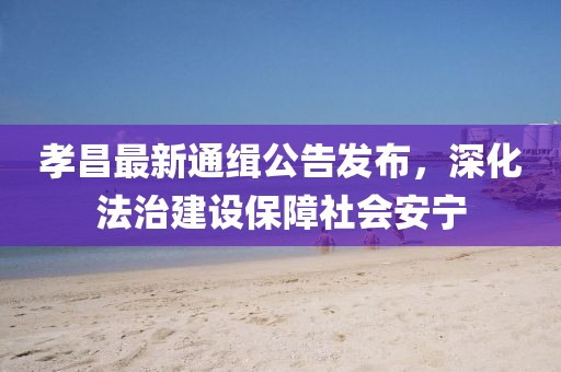 孝昌最新通缉公告发布，深化法治建设保障社会安宁