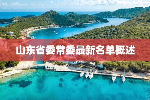 山东省委常委最新名单概述