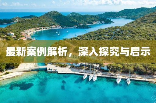 最新案例解析，深入探究与启示
