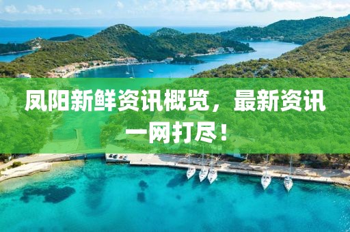 凤阳新鲜资讯概览，最新资讯一网打尽！