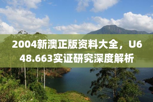 2004新澳正版资料大全，U648.663实证研究深度解析