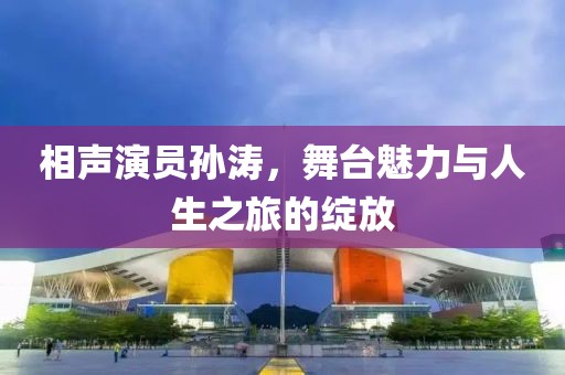 相声演员孙涛，舞台魅力与人生之旅的绽放