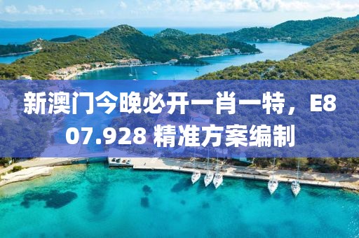 新澳门今晚必开一肖一特，E807.928 精准方案编制