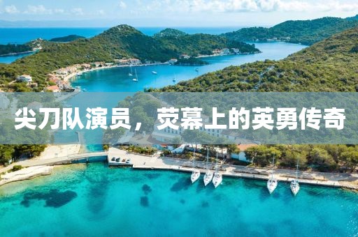 尖刀队演员，荧幕上的英勇传奇