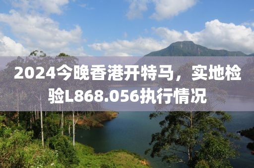 2024今晚香港开特马，实地检验L868.056执行情况