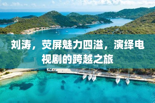 刘涛，荧屏魅力四溢，演绎电视剧的跨越之旅