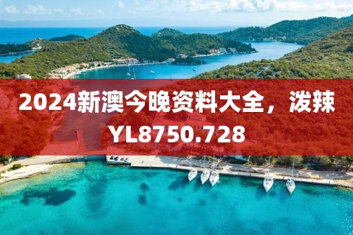 2024新澳今晚资料大全，泼辣YL8750.728