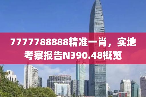 7777788888精准一肖，实地考察报告N390.48概览