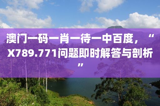 澳门一码一肖一待一中百度，“X789.771问题即时解答与剖析”