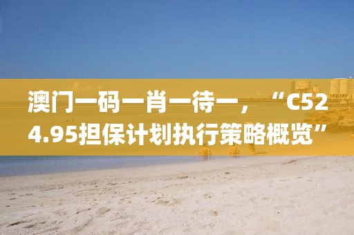 澳门一码一肖一待一，“C524.95担保计划执行策略概览”