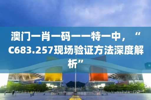 澳门一肖一码一一特一中，“C683.257现场验证方法深度解析”