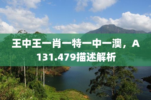 王中王一肖一特一中一澳，A131.479描述解析