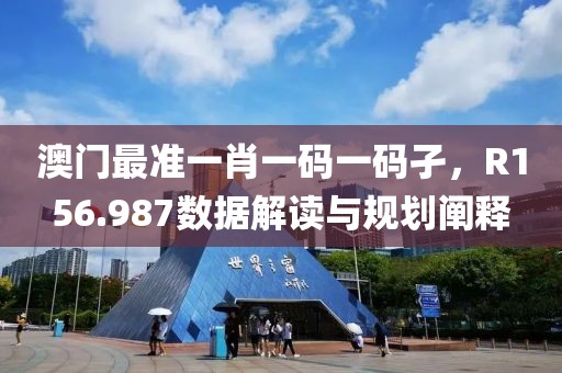 澳门最准一肖一码一码孑，R156.987数据解读与规划阐释