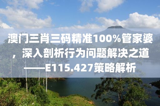 澳门三肖三码精准100%管家婆，深入剖析行为问题解决之道——E115.427策略解析