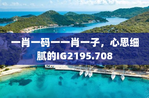 一肖一码一一肖一子，心思细腻的IG2195.708