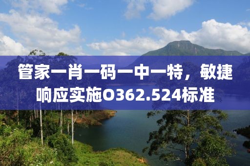 管家一肖一码一中一特，敏捷响应实施O362.524标准