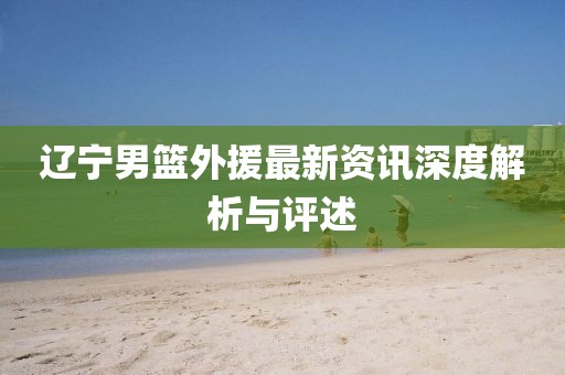 辽宁男篮外援最新资讯深度解析与评述