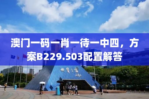 澳门一码一肖一待一中四，方案B229.503配置解答