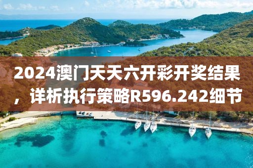 2024澳门天天六开彩开奖结果，详析执行策略R596.242细节