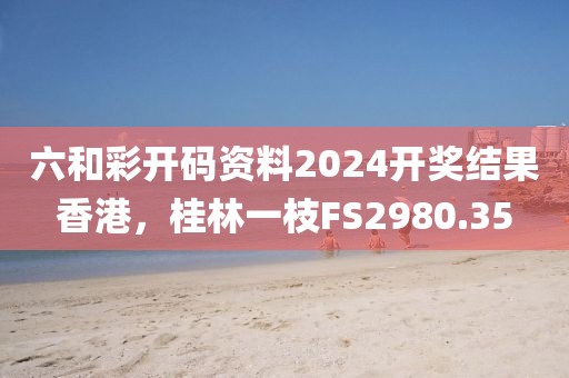 六和彩开码资料2024开奖结果香港，桂林一枝FS2980.35