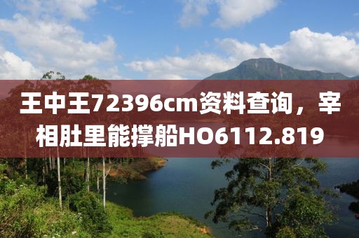 王中王72396cm资料查询，宰相肚里能撑船HO6112.819
