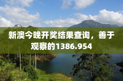 新澳今晚开奖结果查询，善于观察的1386.954