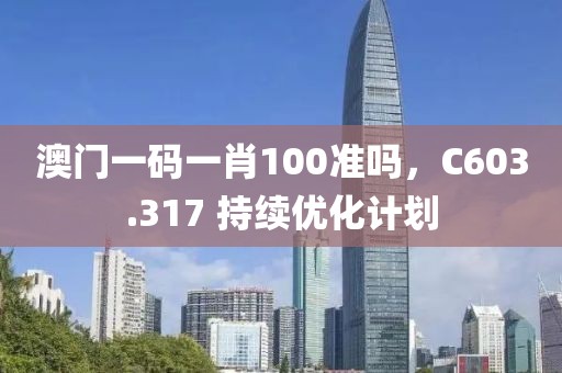 澳门一码一肖100准吗，C603.317 持续优化计划