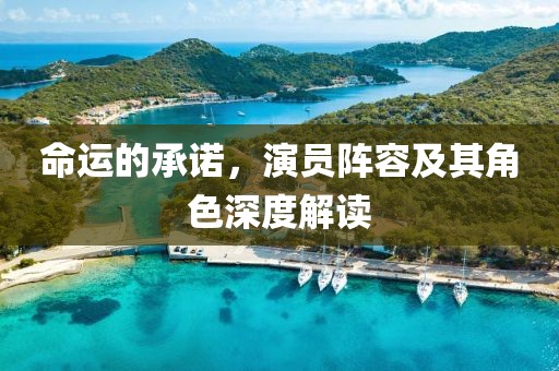 命运的承诺，演员阵容及其角色深度解读