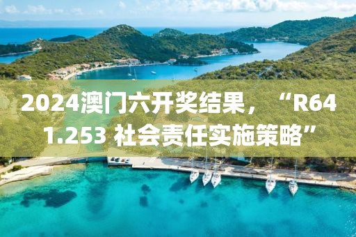 2024澳门六开奖结果，“R641.253 社会责任实施策略”