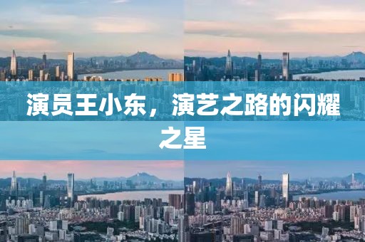演员王小东，演艺之路的闪耀之星