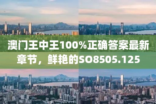 澳门王中王100%正确答案最新章节，鲜艳的SO8505.125