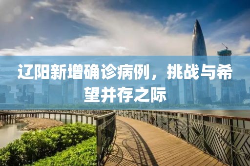 辽阳新增确诊病例，挑战与希望并存之际