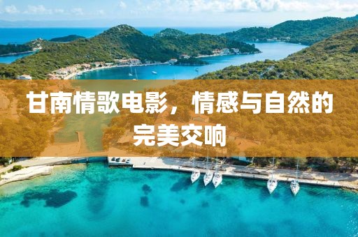 甘南情歌电影，情感与自然的完美交响