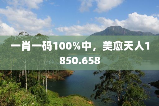 一肖一码100%中，美愈天人1850.658