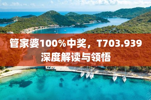 管家婆100%中奖，T703.939深度解读与领悟